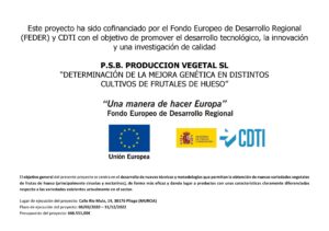 Empresa obtentora, editora y distribuidora de frutas de hueso híbridas