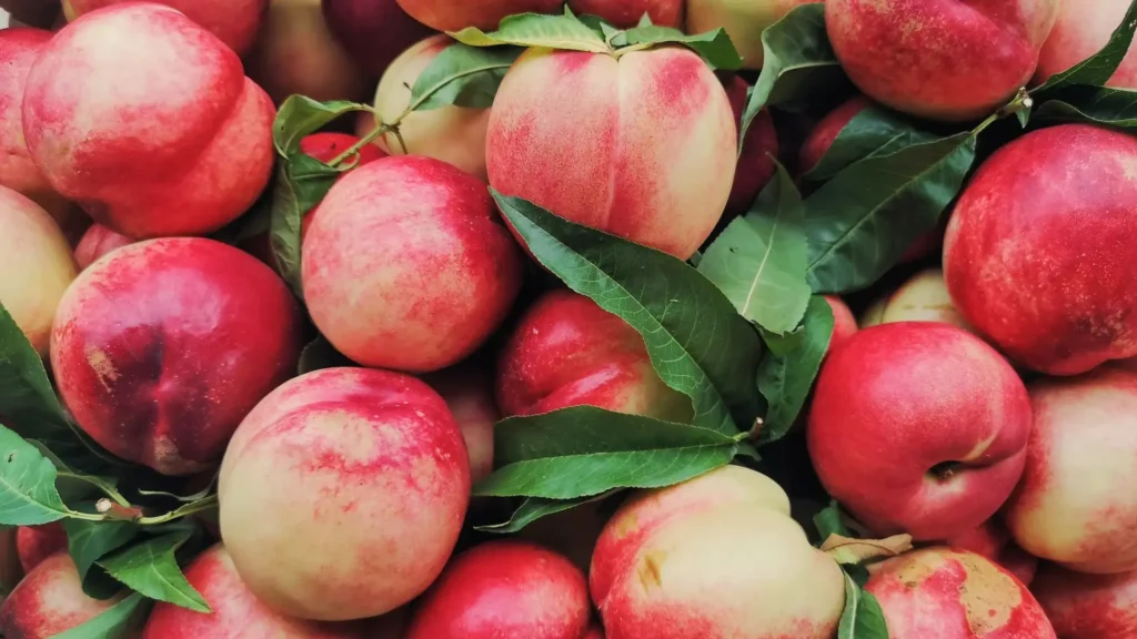 propiedades-nectarina-beneficios-salud