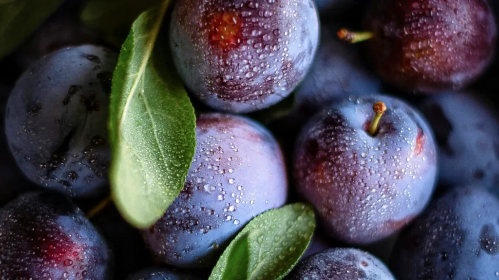 tipos-ciruelas-descubre-las-variedades-mas-populares-uso-gastronomico