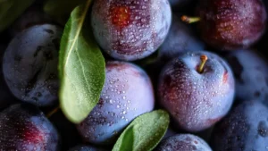 tipos-ciruelas-descubre-las-variedades-mas-populares-uso-gastronomico