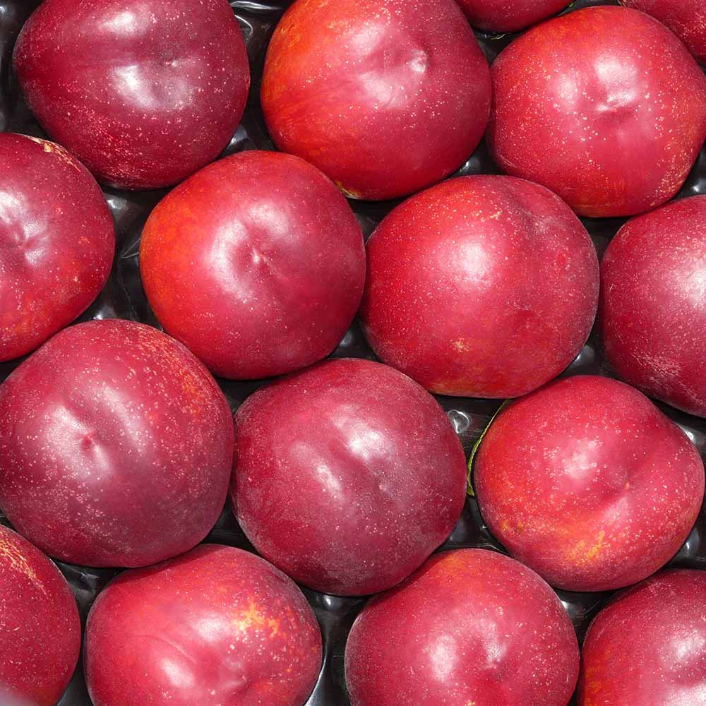 nectarina-amarilla-flariba-02