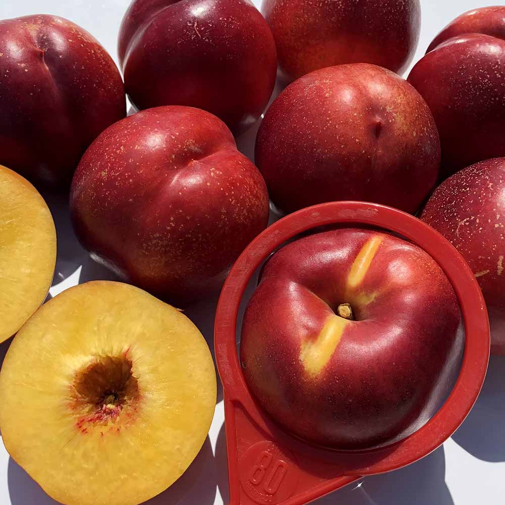 nectarina-amarilla-kinolea-02
