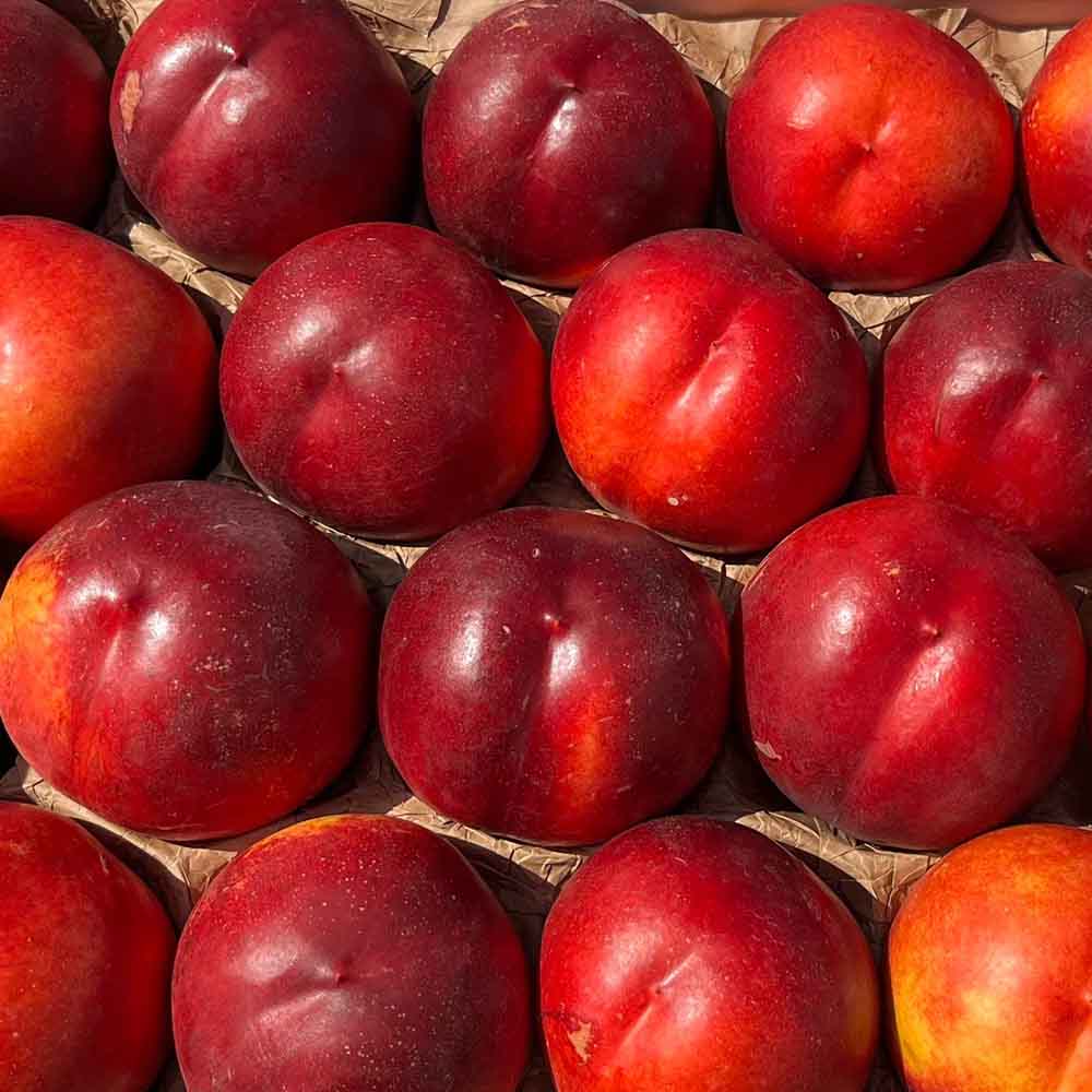 nectarina-amarilla-tenerif-02