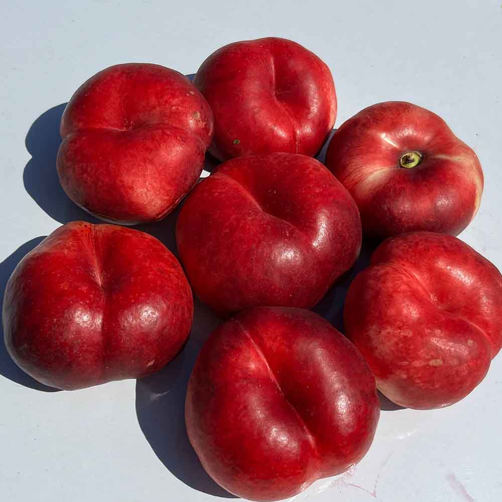 nectarina-plana-blanca-cookie-02