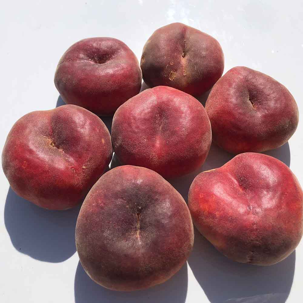 paraguayo-amarillo-kiwani-02